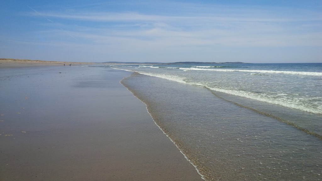 People should avoid swimming at Rainbow Haven, Clam Harbour beaches, says province