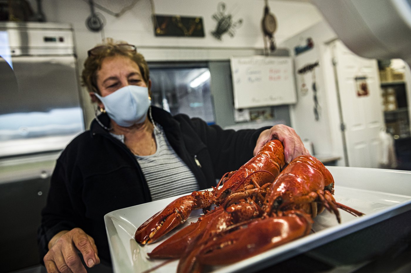 Lobster populations remain healthy around the Maritimes, but the