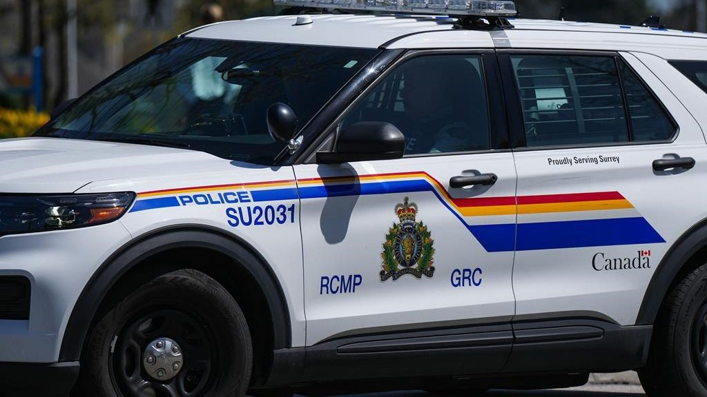 RCMP arrest axe-wielding suspect wanted on province-wide warrant
