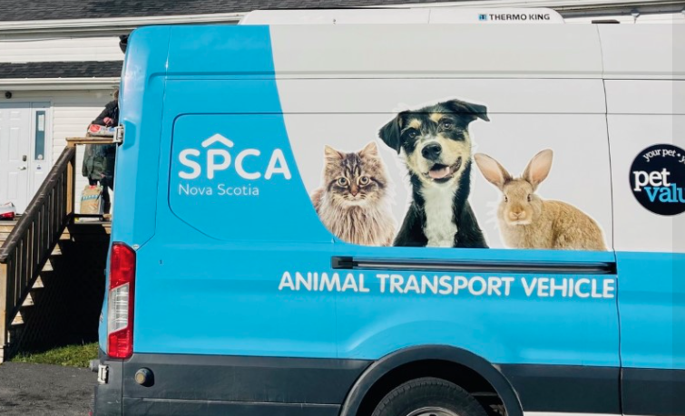 SPCA reminds people to watch for distressed pets in vehicles as heat wave begins in N.S.