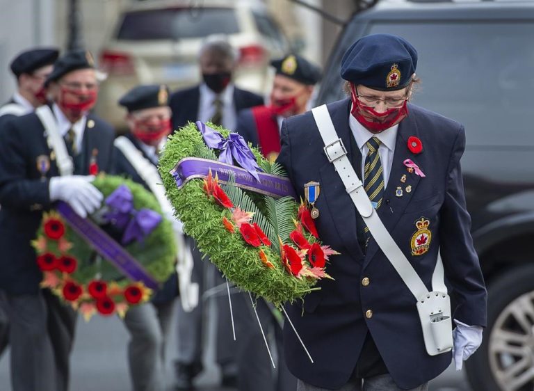 Buy black poppy remembrance day