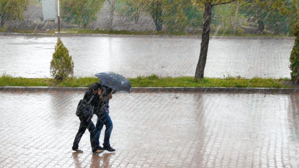 Wind and rainfall warnings issued for parts of HRM as strong fall storm approaches