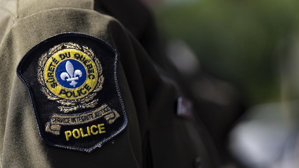 Police in Quebec, Ontario, N.B. make 46 arrests in anti-child porn operation