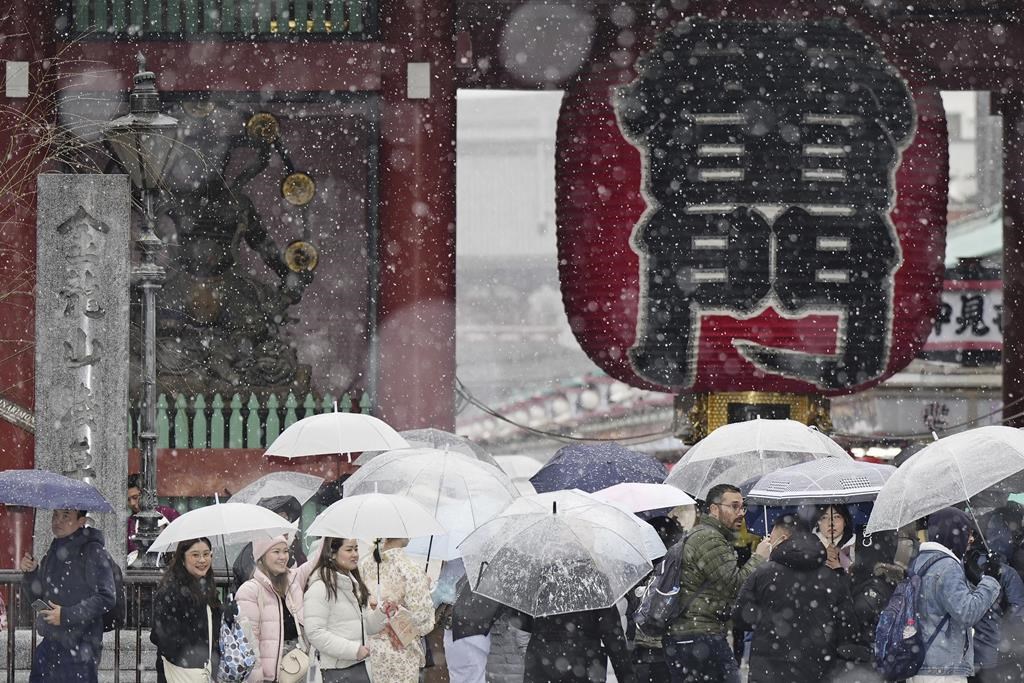 Heavy snow in the Tokyo area knocks out power to homes and