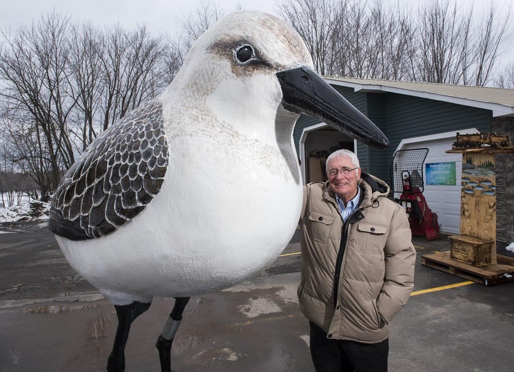N.B. municipality spent $19K to investigate councillor over giant bird statue