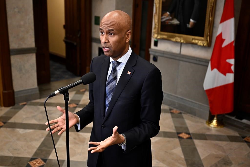 Canada working to airdrop aid in Gaza Strip as soon as possible: Hussen's office