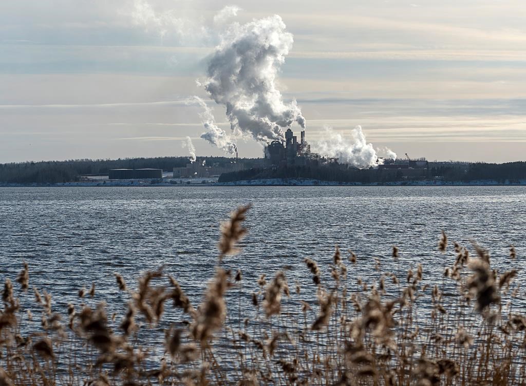 Nova Scotia grants Northern Pulp mill one-year extension for environmental assessment