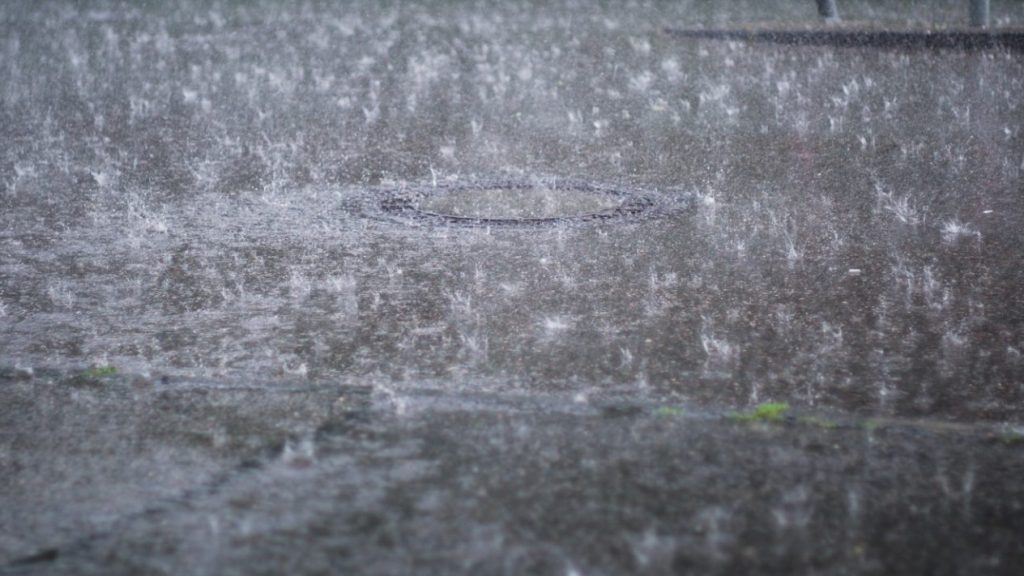 Downpours expected Saturday as rainfall warning is issued for Halifax area