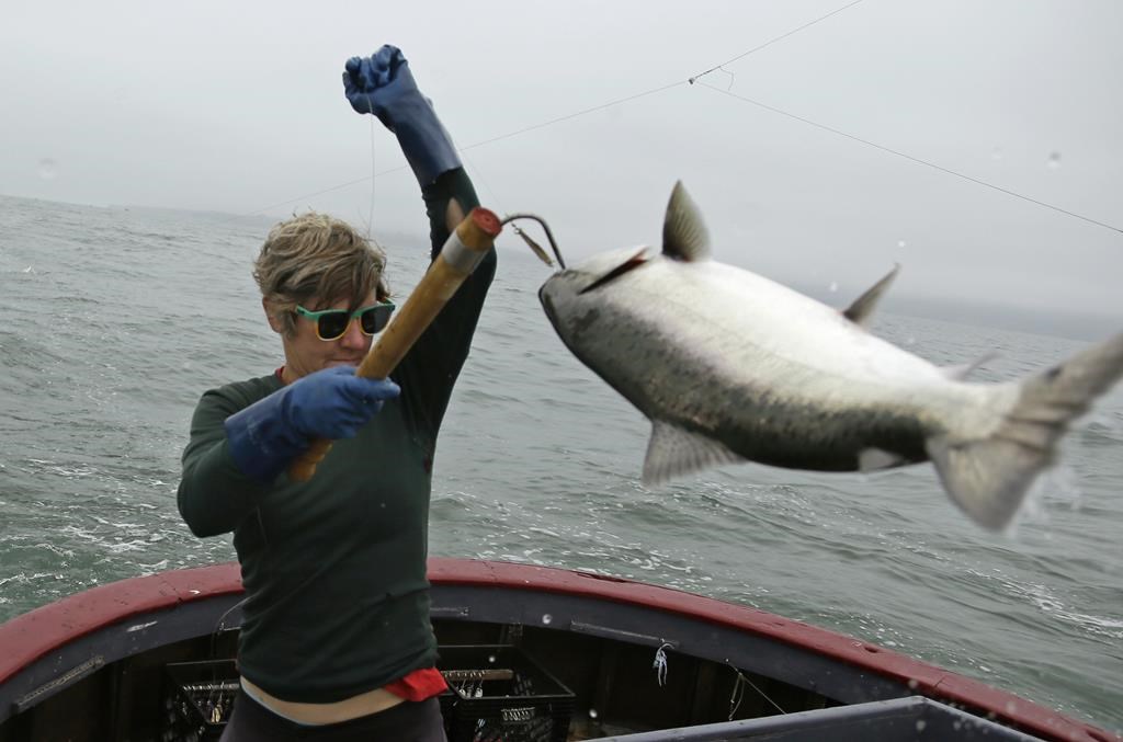 2024 Ocean Salmon Fishing Options Up For Comment 