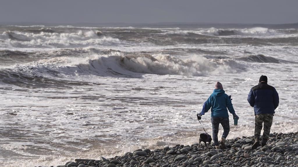 Critics pan rationale for Nova Scotia government's coastal protection survey