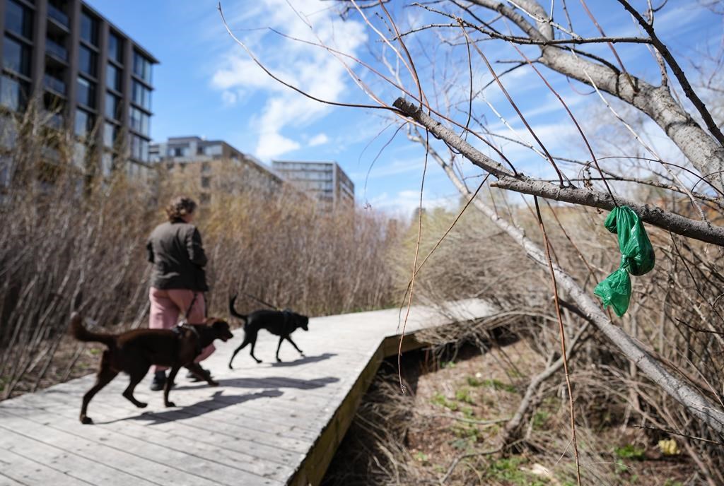 Bin there, dumped that: Trash cans to be reinstalled along Montreal's Lachine Canal