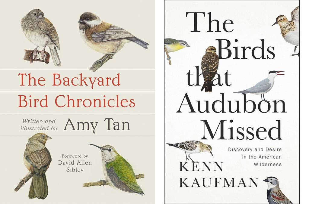 Book Review: Novelist Amy Tan shares love of the natural world in 'The Backyard Bird Chronicles'