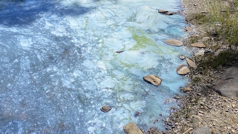 N.S. health warns residents of blue-green algae