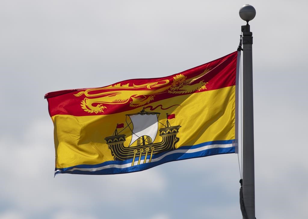 New Brunswick virtual health-care service violating Official Languages Act: report