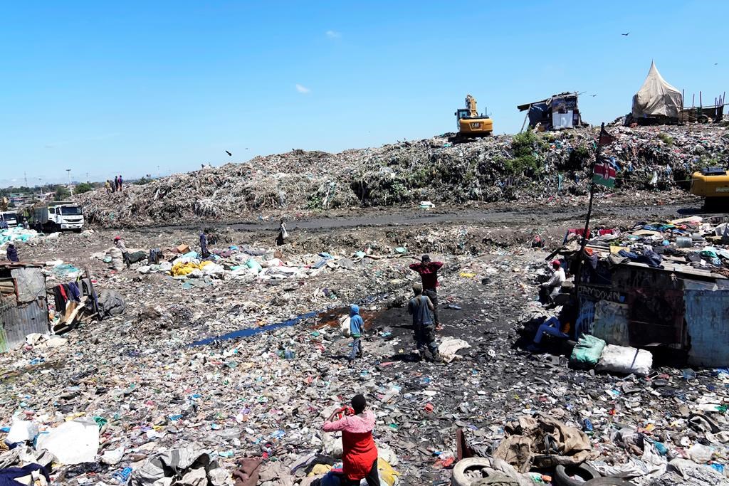 They study next to one of Africa's largest trash dumps. They're planting bamboo to try to cope