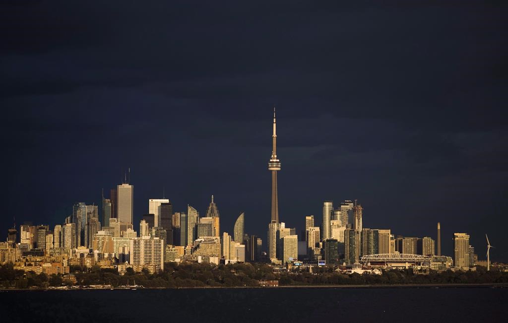 Power restored after squirrel causes outage affecting thousands: Toronto Hydro
