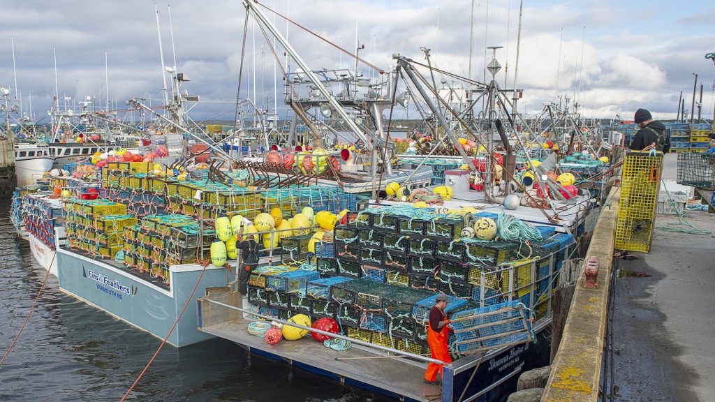Fisheries Department issues warnings about lobster trap tampering in Nova Scotia