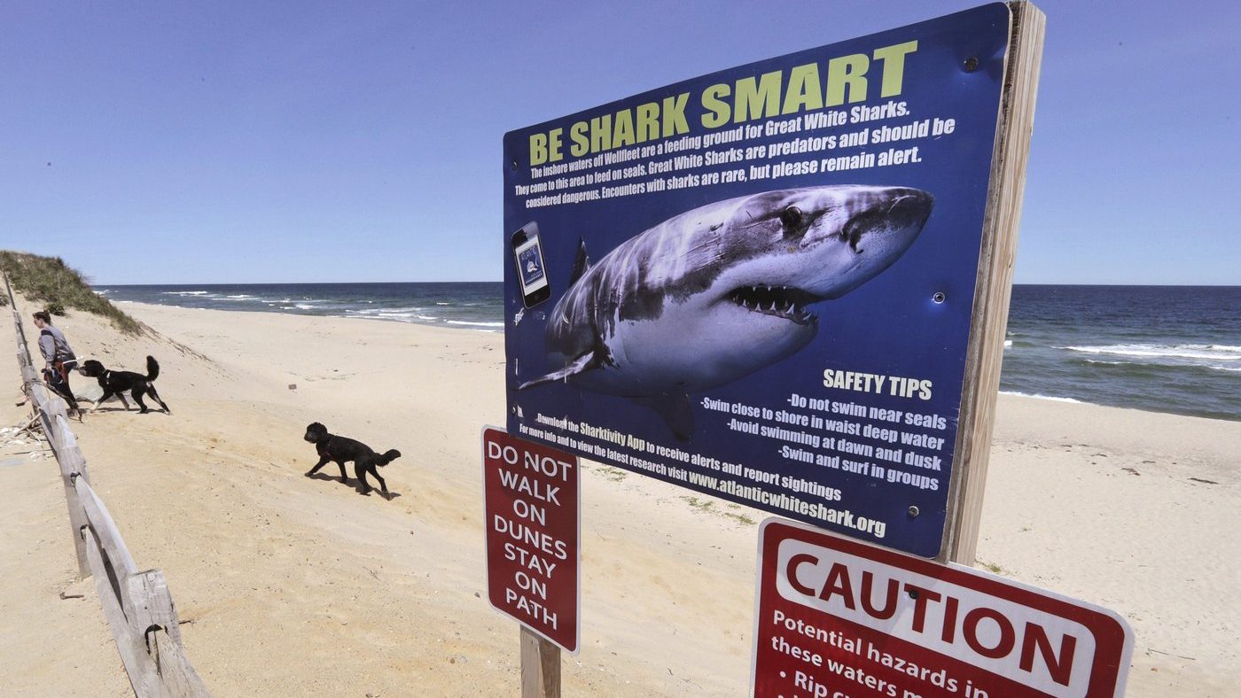 Possible shark sighting at Nova Scotia beach