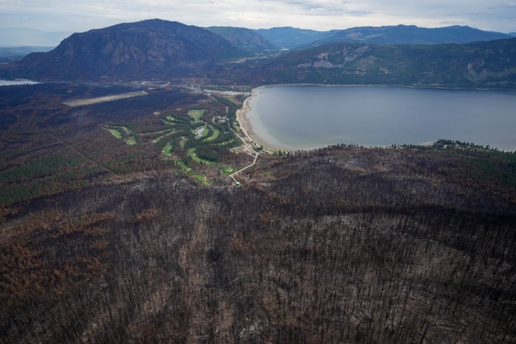 Largest study of 2023 wildfires finds extreme weather fuelled flames coast to coast