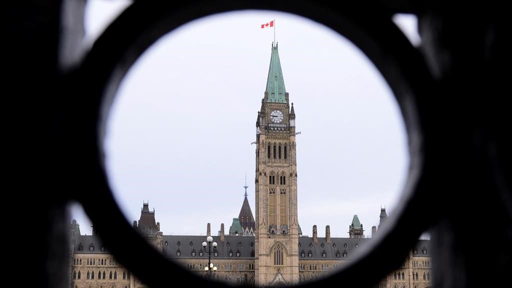 Liberal, Conservative MPs to speak at Oct. 7 march to Parliament Hill