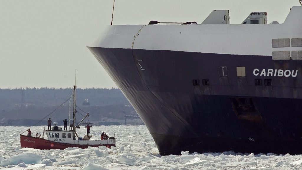 The sealing vessel Cathy Erlene,