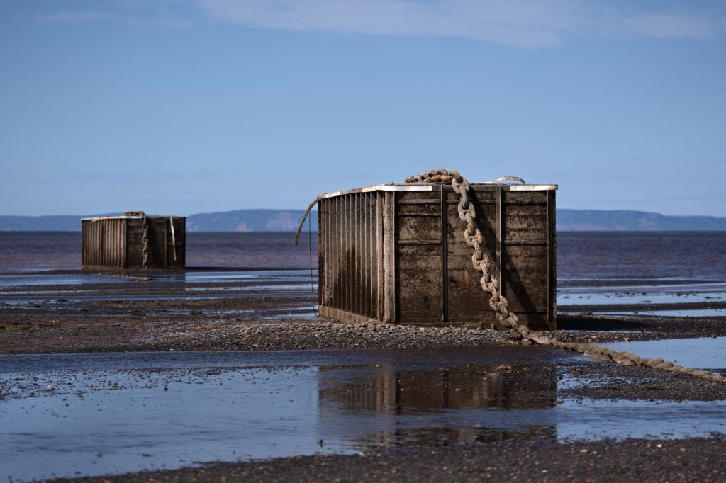 N.S. minister fears deposit won't cover removal of bankrupt tidal firm's moorings