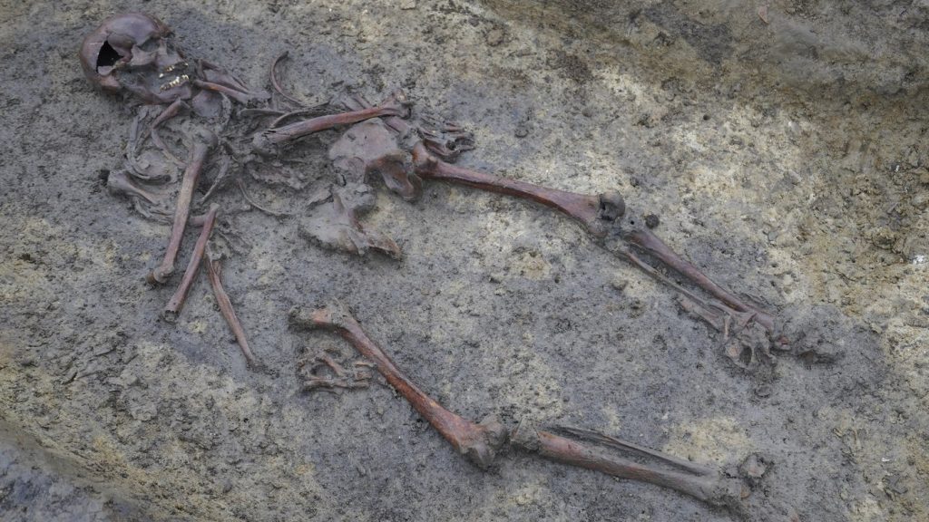 In Denmark, 50 well-preserved Viking Age skeletons have been unearthed, a rare discovery