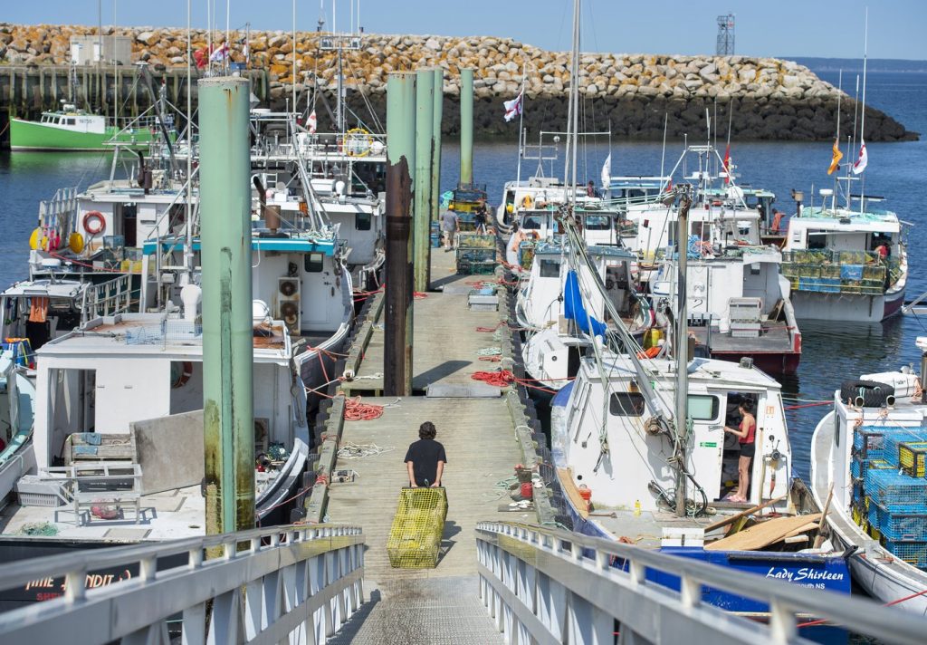 Commercial fishers seek $10 million in damages against 'illegal' N.S. lobster buyers