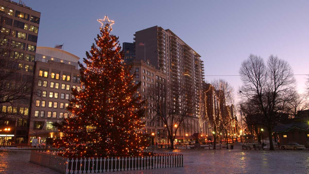 Christmas tree for Boston coming from Antigonish County