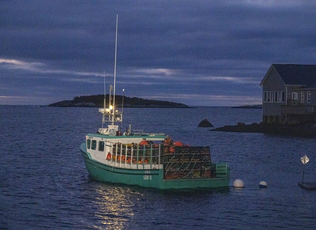 About 1,450 lobster boats to head out on Day 1 of Canada's largest lobster fishery