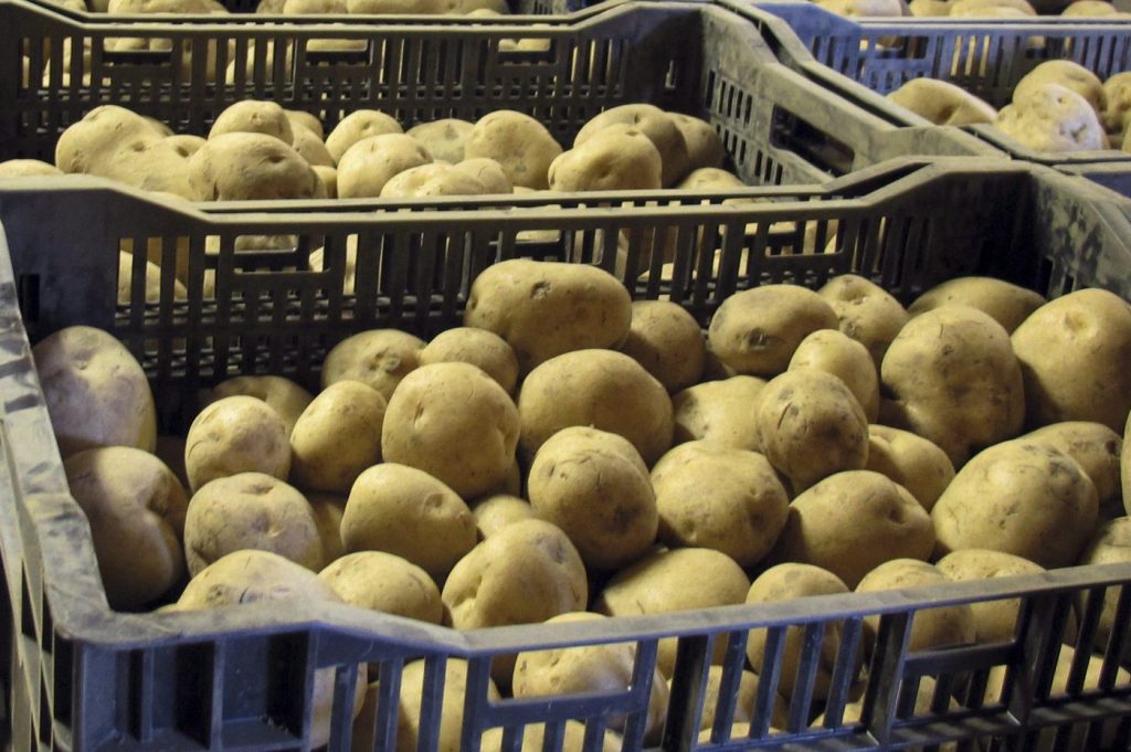 McCain, Cavendish Farms named in U.S. class-actions alleging 'potato cartel'