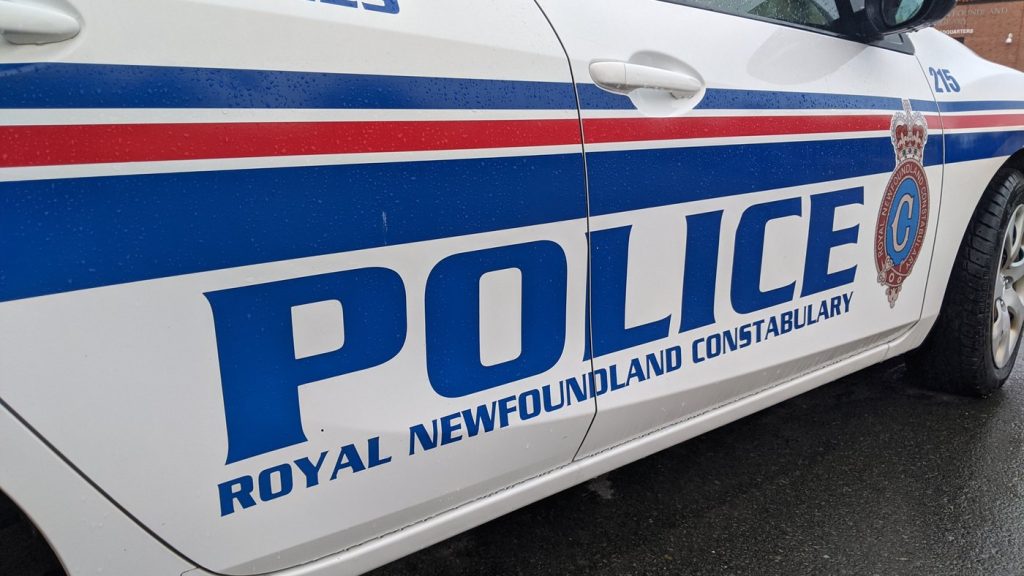 Newfoundland man fatally electrocuted by downed power line, two women injured