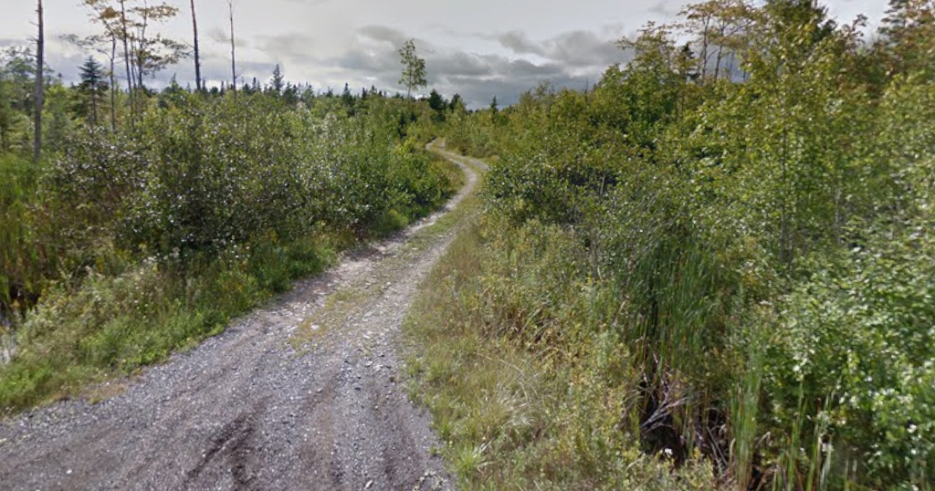 A roadway off Oldham Road in Enfield, N.S. (Google Maps)