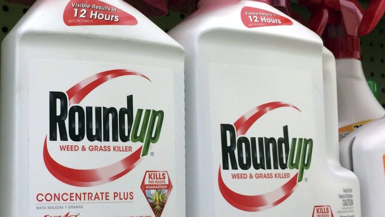 Containers of Roundup, a weed killer made by Monsanto, are seen on a shelf at a hardware store in Los Angeles on Jan. 26, 2017. (AP Photo/Reed Saxon, File) 