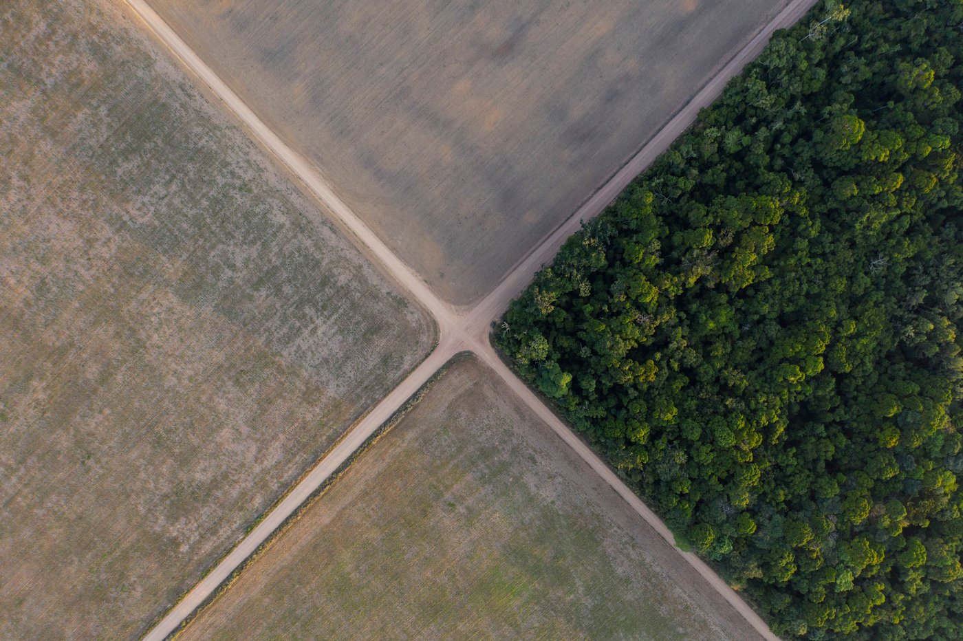 Brazil soy industry’s exit from moratorium on using Amazon land could spur deforestation