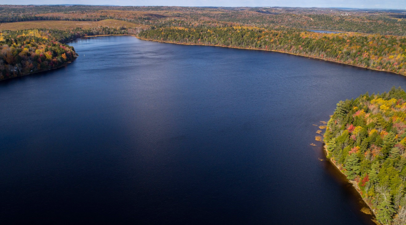 Ecological group warns of environmental impacts from Hwy. 101 connector