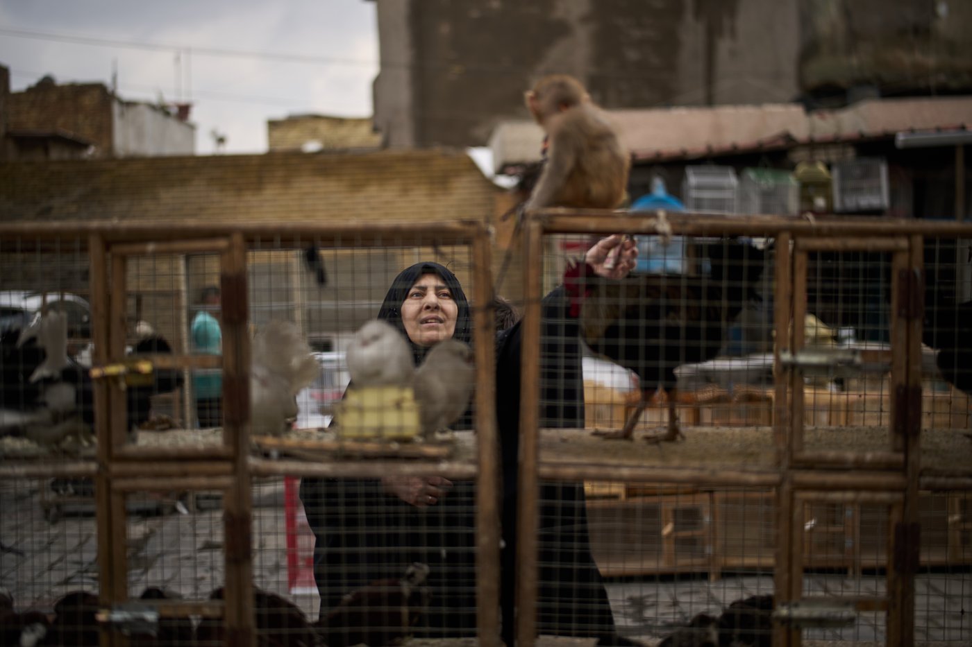 Photos show daily life in Iraq’s Basra near Iranian border as war slows trade