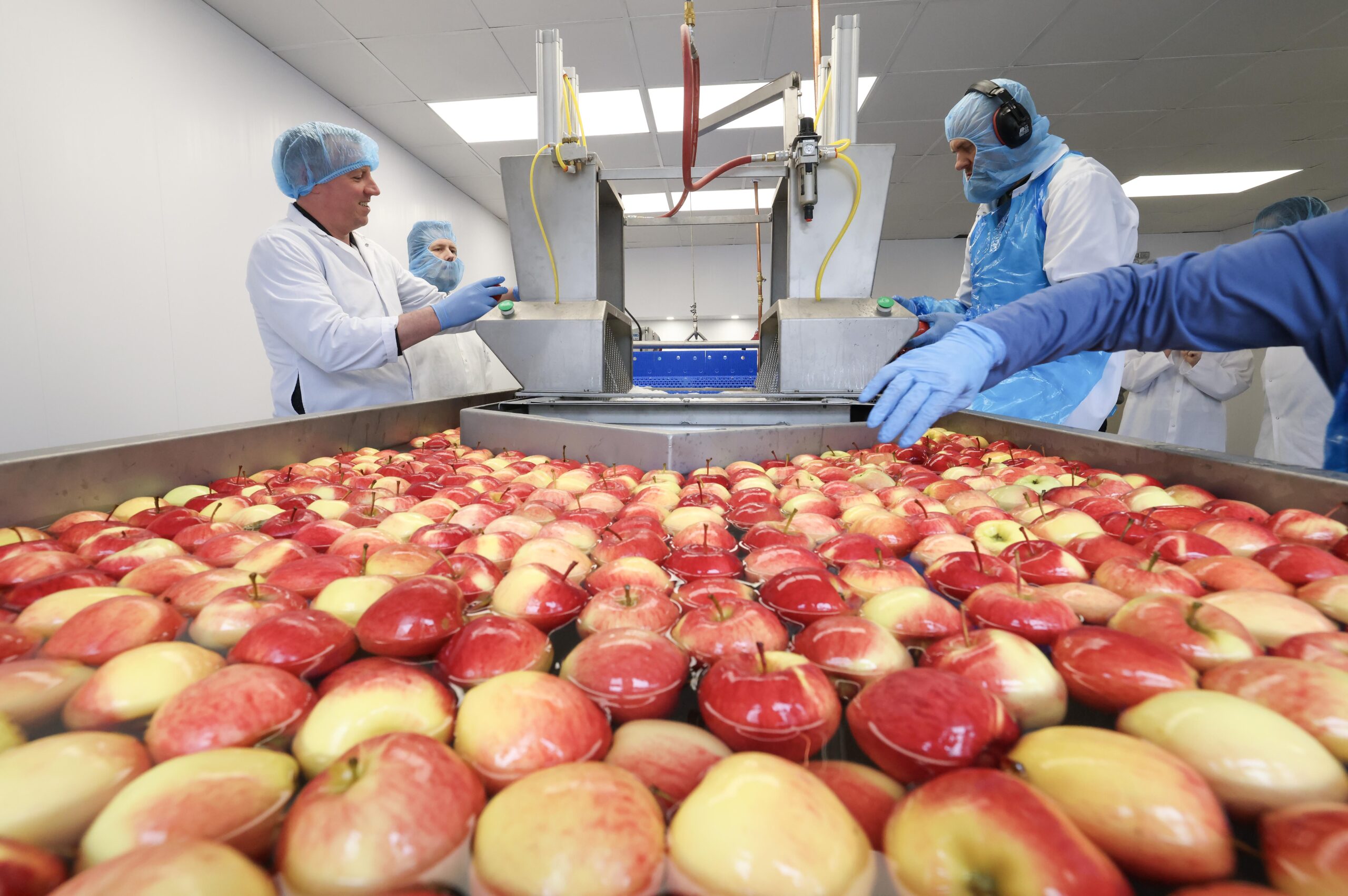 N.S. school lunch program bolstered by new investment in apple business