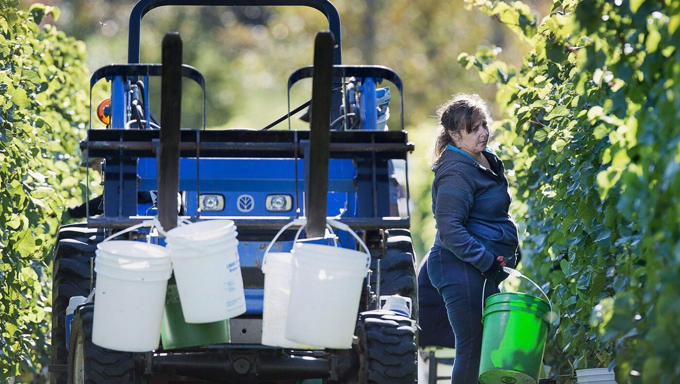 Billions to N.S. GDP after scrapping trade barriers, wineries argue