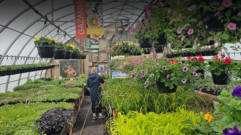 Norwood Gardens Inc. in Lake Echo is receiving upgrades to make it more accessible. (Norwood Gardens Inc.)