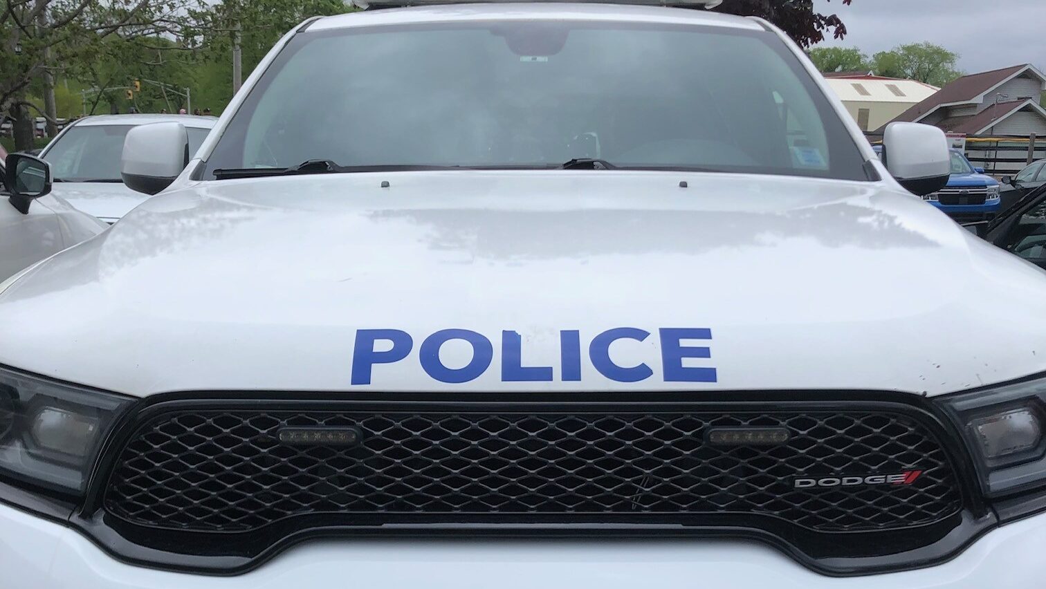 Halifax police investigate stabbing on Spring Garden Road