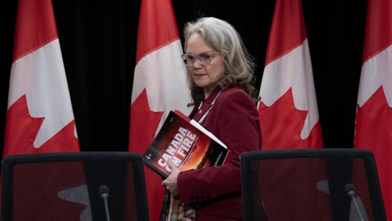 Senate committee report calls for better co-ordination of wildfire response