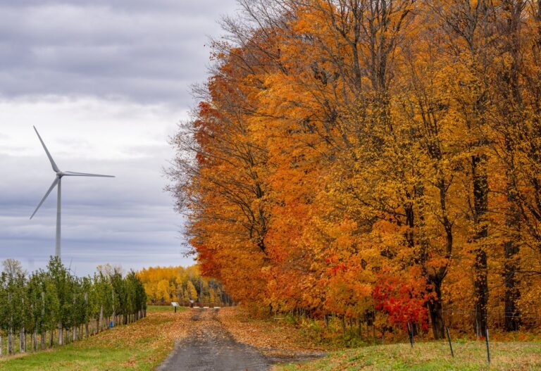 A wind turbine is seen on Kruger Energy's KEMONT Monteregie wind farm on the South Shore of Montreal on Friday, Oct. 24, 2025. THE CANADIAN PRESS/Christinne Muschi