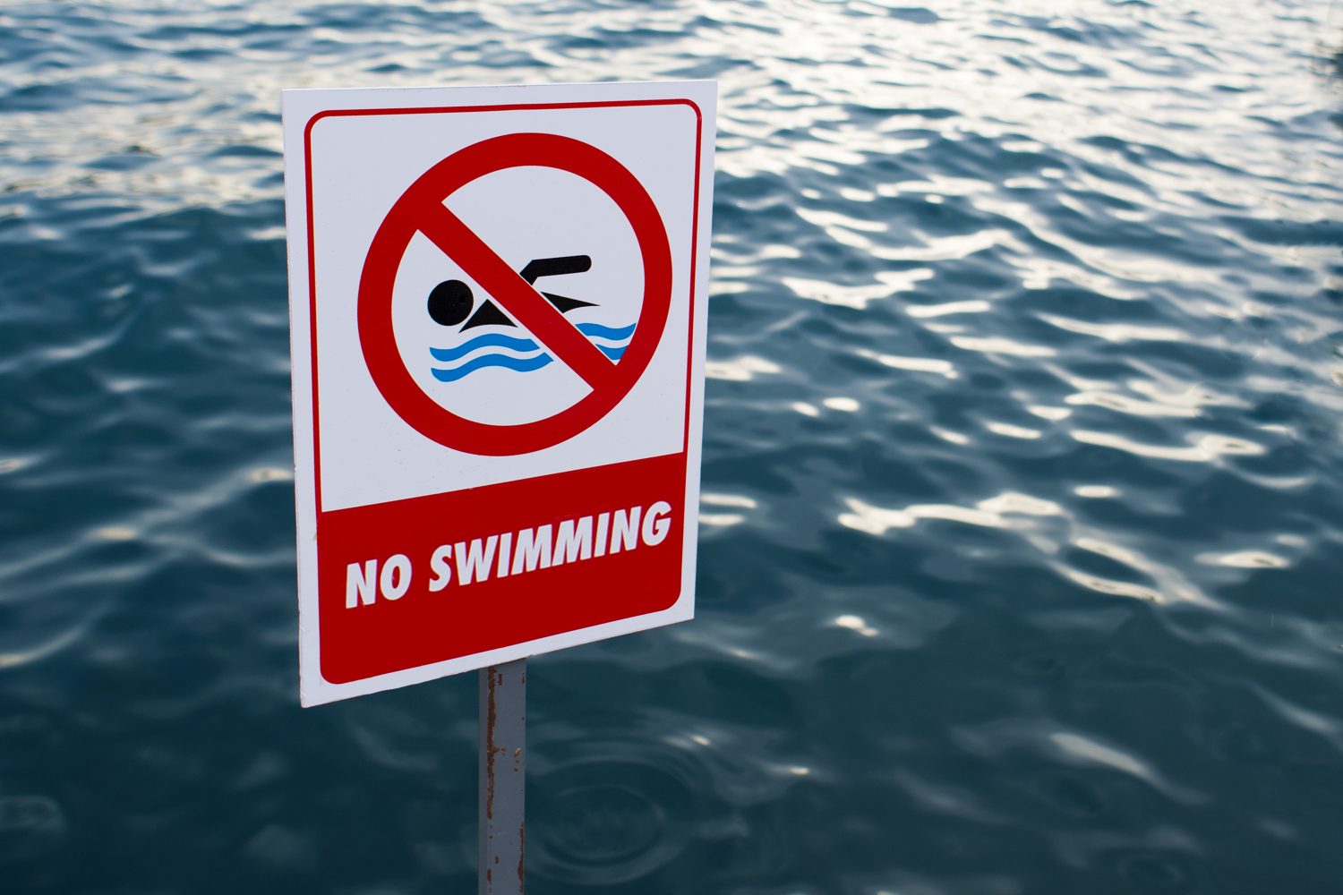 Kinap Beach closed to swimming due to bacteria | CityNews Halifax