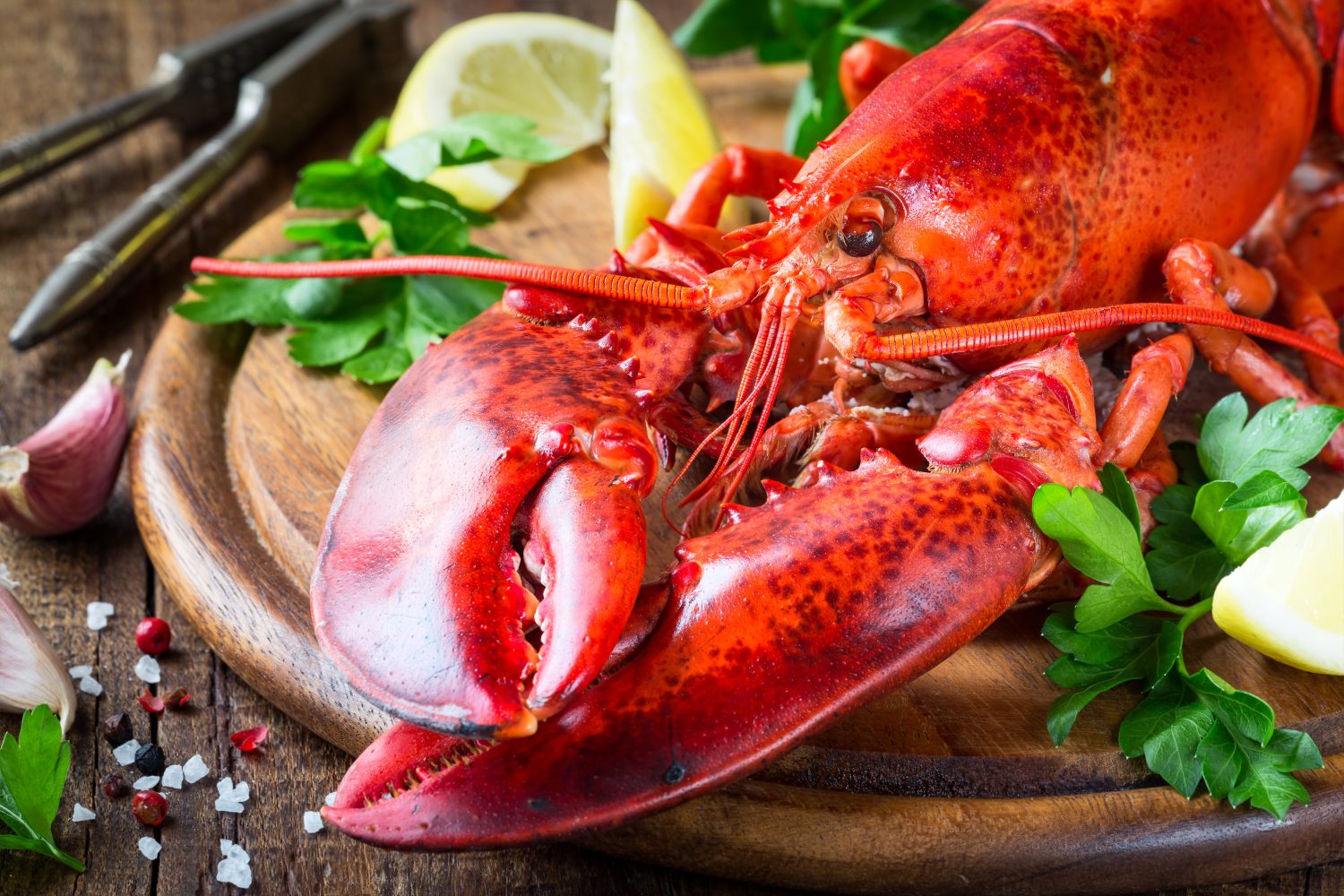 Nova Scotia 'lobster crawl' campaign wins tourism award CityNews Halifax