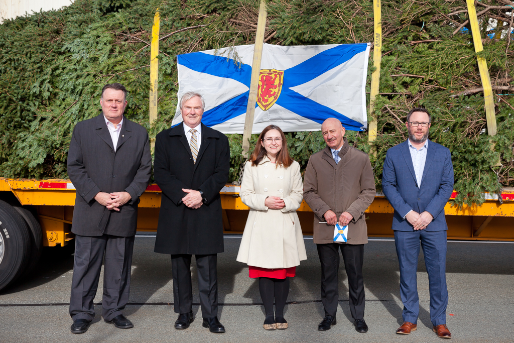 Halifax sends off Christmas tree to Boston for 50th year CityNews Halifax