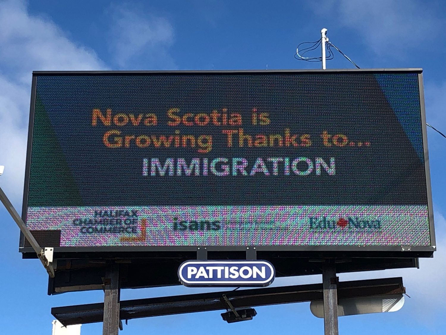 Campaign highlights the benefits of immigration in Nova Scotia CityNews Halifax